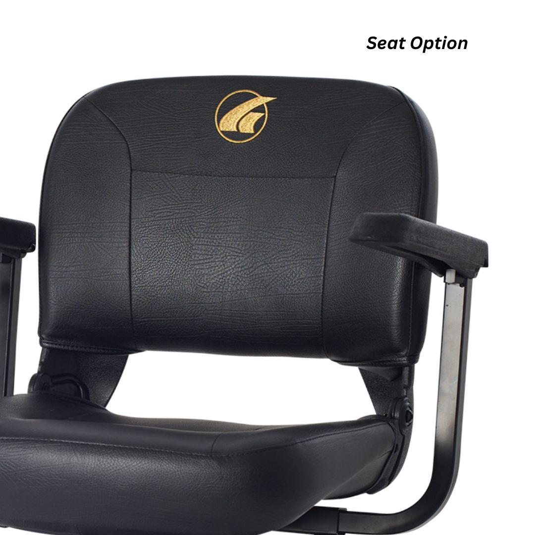 Golden Tech Buzzaround Ex 3-Wheel